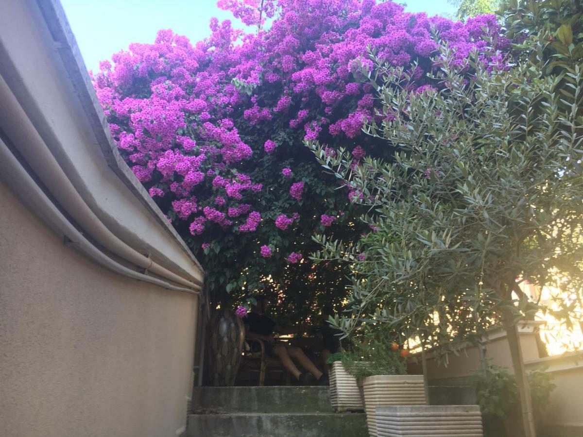 B&B La Bougainvillea Андрия Экстерьер фото